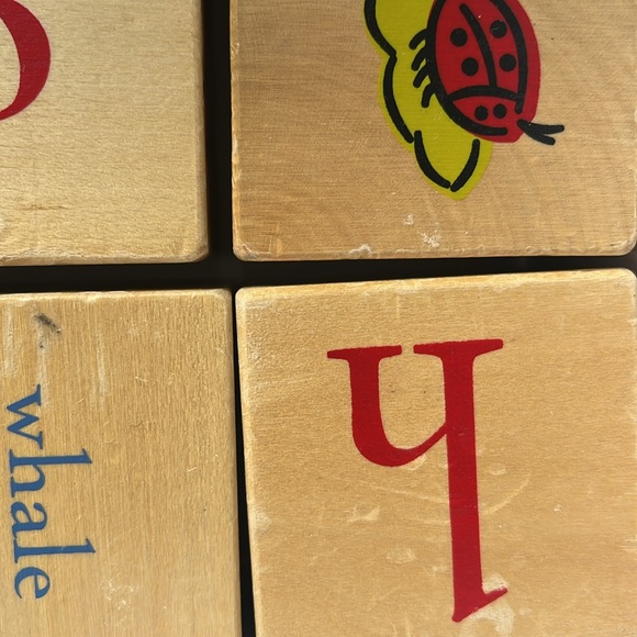 Pottery Barn Kids Wooden Alphabet Blocks with pictures and Letters - Picture 7 of 9